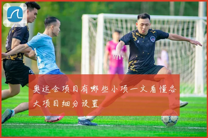 奥运会项目有哪些小项一文看懂各大项目细分设置
