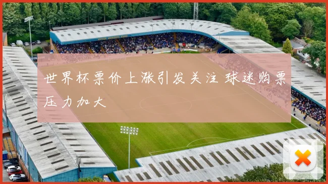 世界杯票价上涨引发关注 球迷购票压力加大