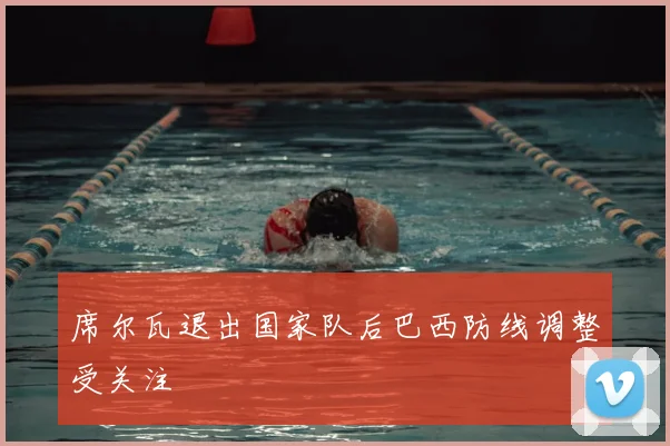 席尔瓦退出国家队后巴西防线调整受关注