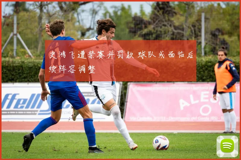史鸿飞遭禁赛并罚款 球队或面临后续阵容调整