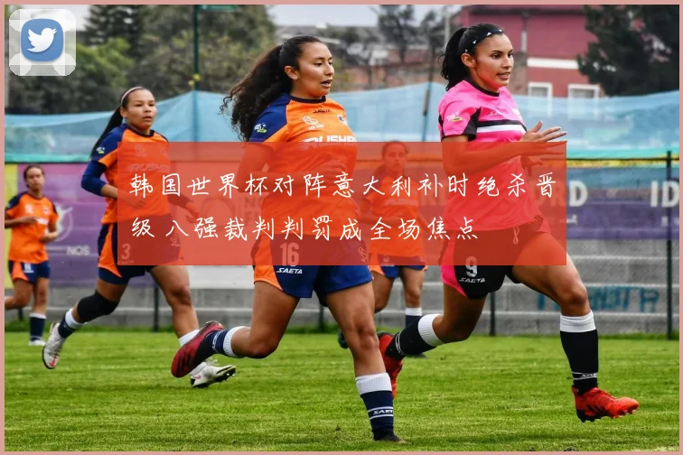 韩国世界杯对阵意大利补时绝杀晋级 八强裁判判罚成全场焦点