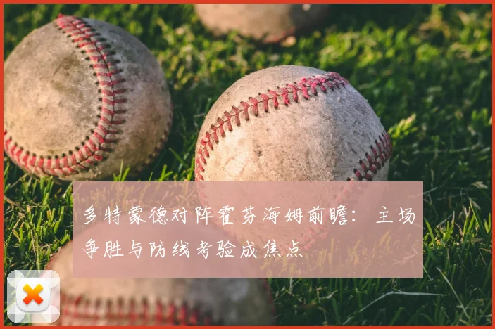 多特蒙德对阵霍芬海姆前瞻：主场争胜与防线考验成焦点