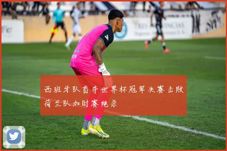西班牙队首夺世界杯冠军决赛击败荷兰队加时赛绝杀